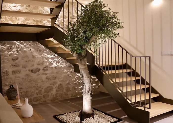 Olivera Lujo Rural Con Piscina Climatizada 펜션 San Miguel del Arroyo